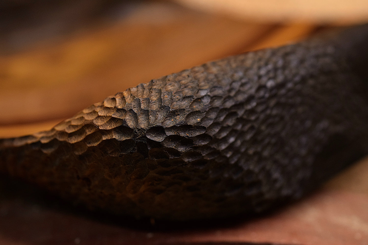 Drvena Posuda - Abonos, Orah, Paduk, Dud