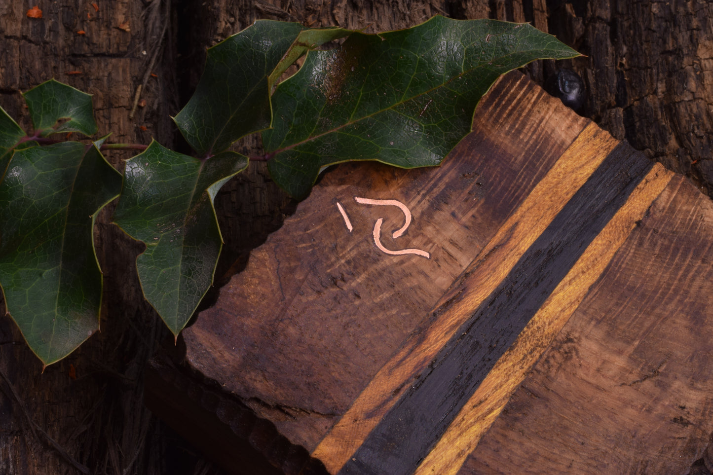 Pepeljara - Abonos, Hrast, Dud