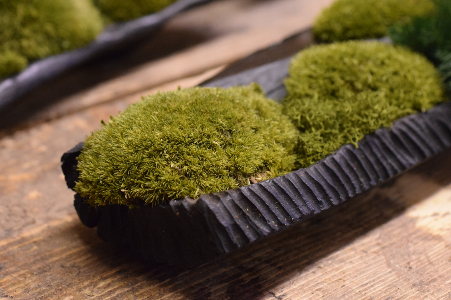 Drvena Posuda - Mahovina