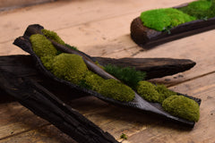 Drvena Posuda - Mahovina
