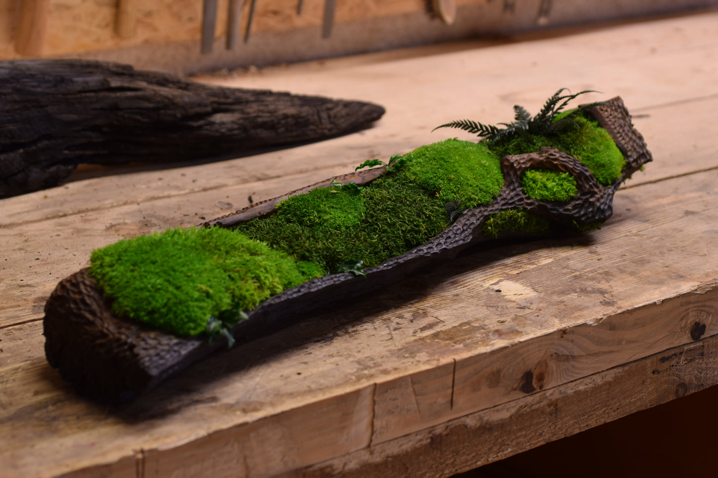 Moss II. - Bog Oak Bowl with Fossilized Moss