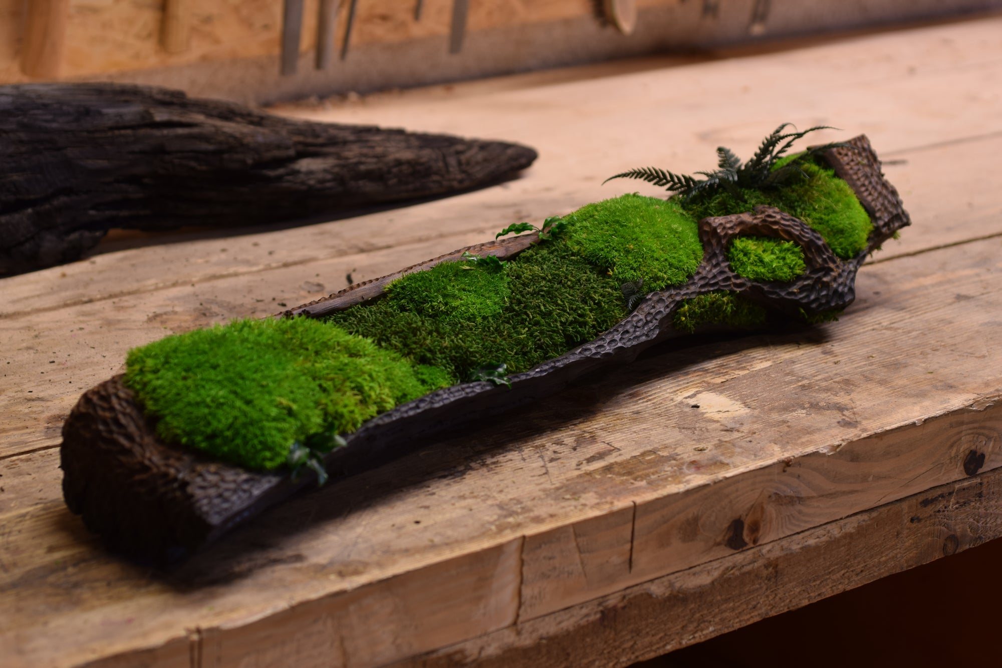 Moss II. - Bog Oak Bowl with Fossilized Moss