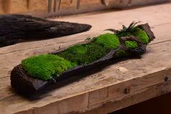 Moss II. - Bog Oak Bowl with Fossilized Moss