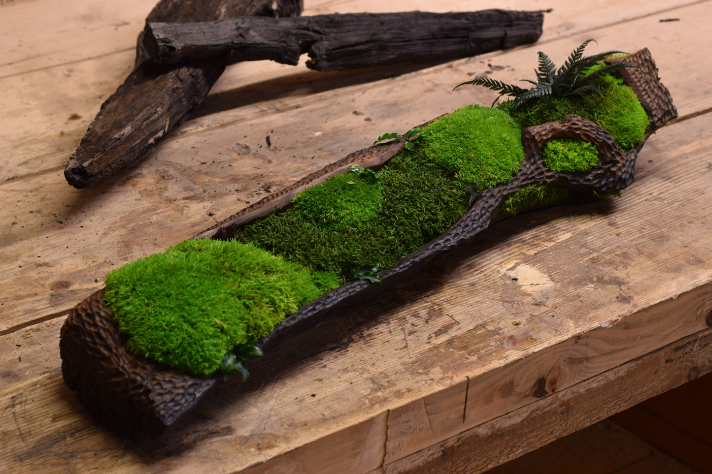 Moss II. - Bog Oak Bowl with Fossilized Moss