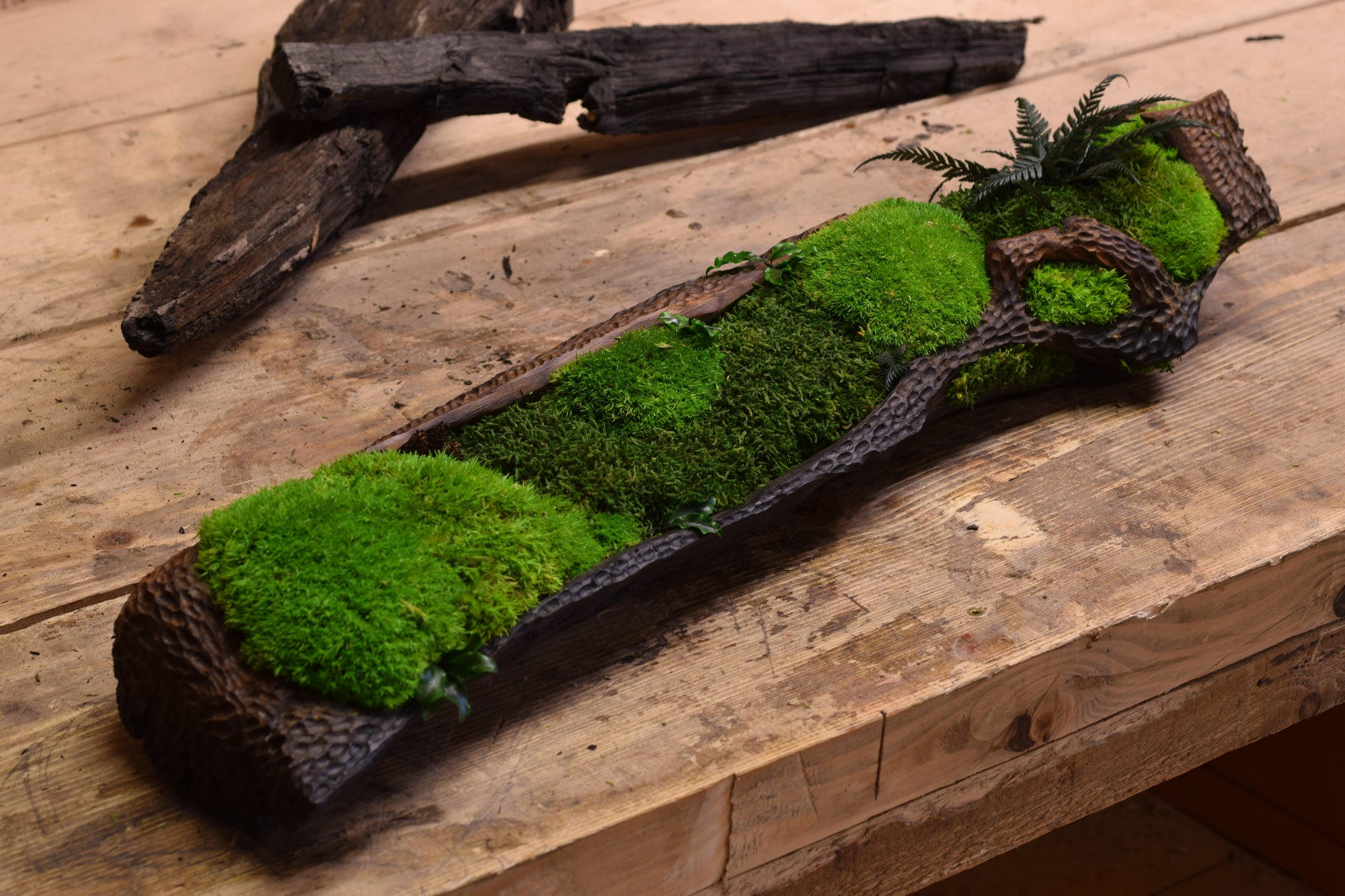 Moss II. - Bog Oak Bowl with Fossilized Moss