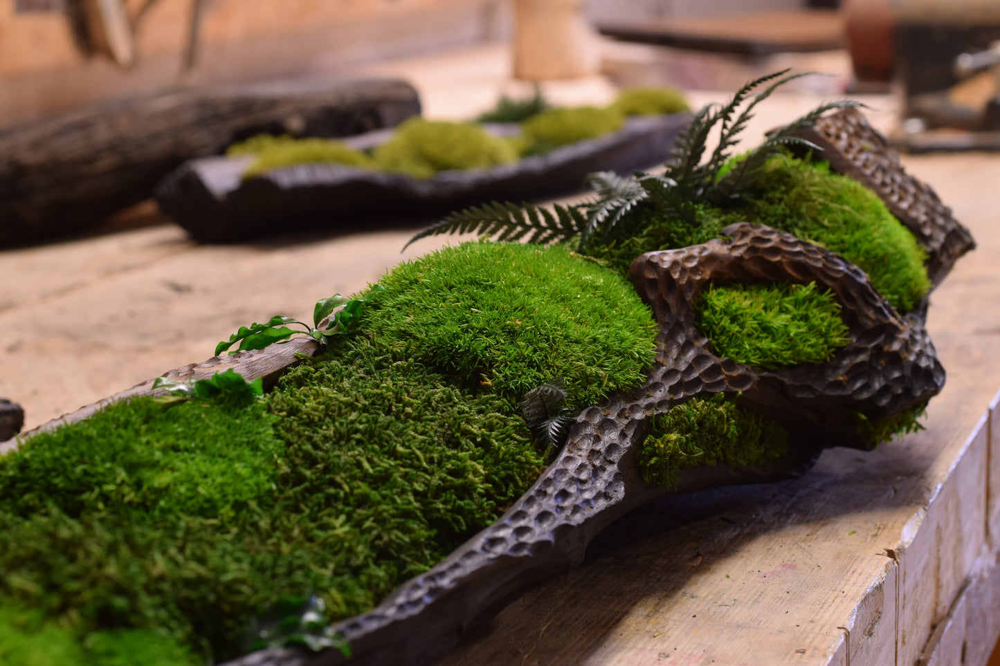 Moss II. - Bog Oak Bowl with Fossilized Moss